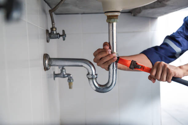 Best Plumbing Inspection Services  in Lake Mary Jane, FL